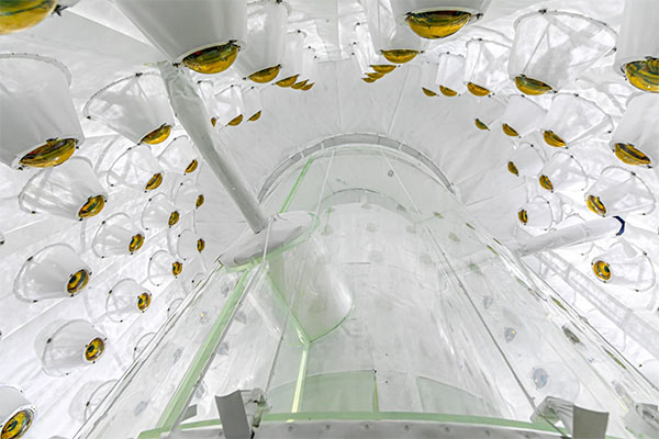 The outer detector of the LZ dark matter experiment