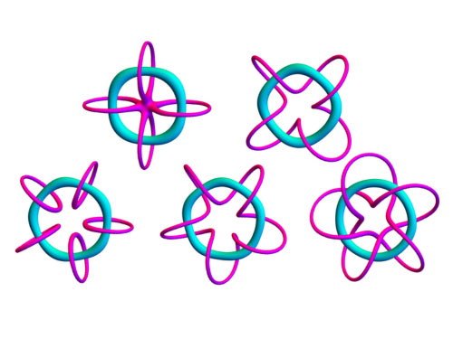 3D plots of numerical solutions for the knot solitons