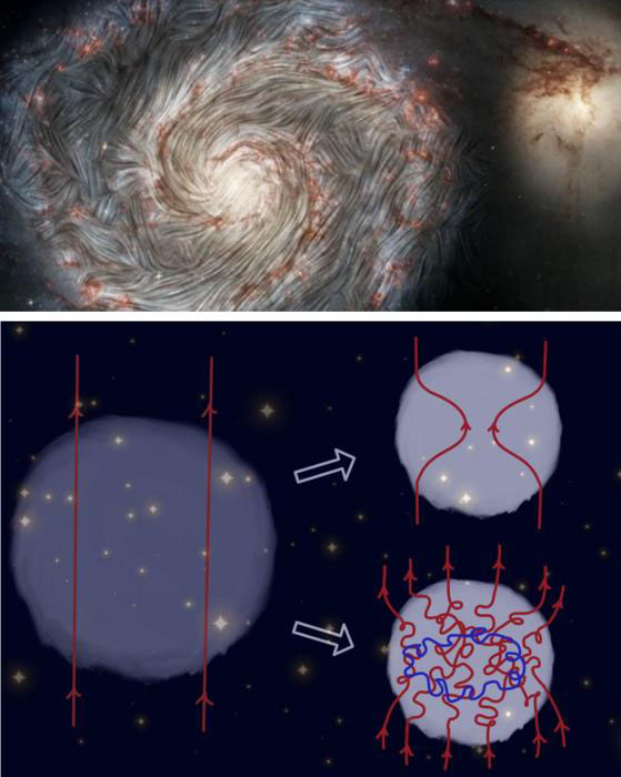 Magnetic fields in collapsing clouds