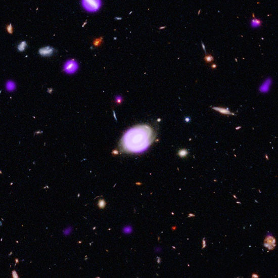 The purple glow at the center of these galaxies is from X-rays indicating the presence of a growing black hole