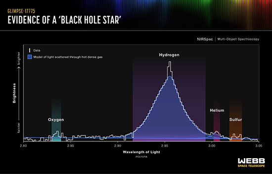 gspectra of little red dots