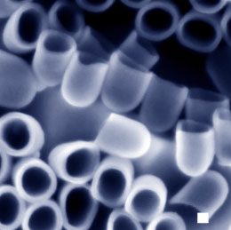 SEM image showing architecture of individual carbon nanocups