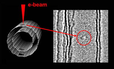 Creation of Individual Vacancies in Carbon Nanotubes by Using an Electron Beam of one angstrom Diameter