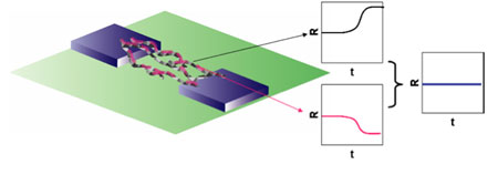 >The fabrication of a humidity independent gas nano-sensor for ammonia