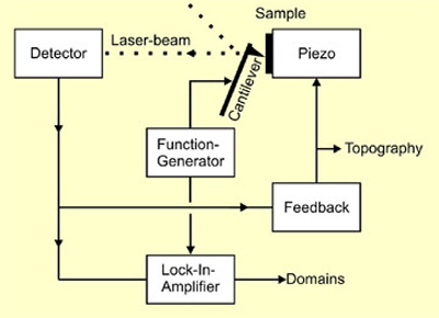 Schematic of Piezoresponse Force Microscopy (PFM)