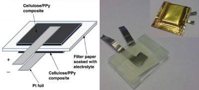 The Cladophora cellulose-polypyrrole conductive paper composite