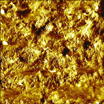 This AFM image shows the topography of a ball-point pen tip