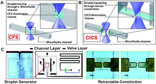 A droplet moving through a microfluidic channel