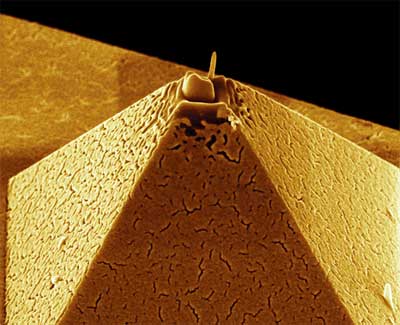 golden pyramid - tip of an atomic force microscope