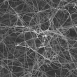 carbon_nanotube_sponge