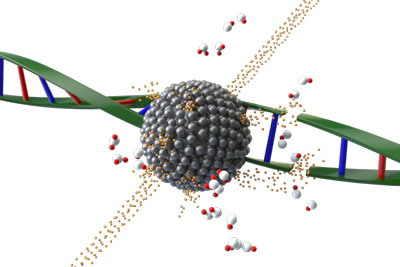 Fast processes involved in platinum nanoparticles excited by ionizing radiations