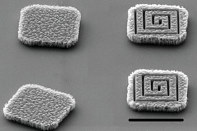 polysilicon intracellular chip