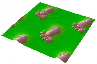 Reverse imaging of deposited nanoparticles