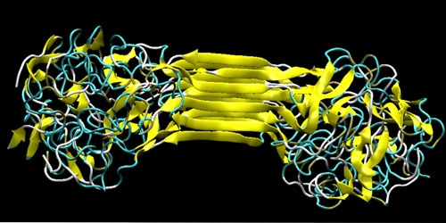 Molecular structure of silks, showing the characteristic beta-sheet nanocrystal (yellowish) and the semi-amorphous domains