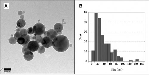 Transmission electron microscopy (TEM) images of commercial aluminum oxide nanoparticles and size distribution