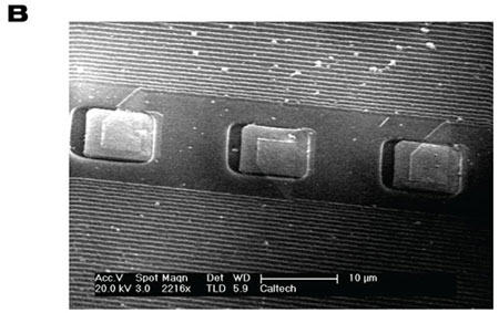 Close-up view of the neural probe showing the wiring that routes the signals from the microelectrodes to the external electronics