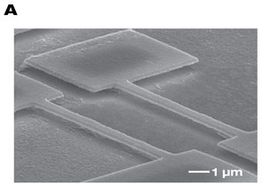 A two-channel piezoelectric nanoscale 'cochlea'
