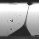 nanodroplet