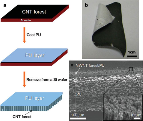 carbon nanotube forest/polyurethane composite material
