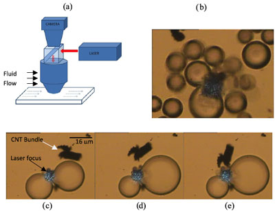 Optical-tweezer-induced microbubbles as scavengers of carbon nanotubes