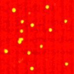 gold_nanoparticles