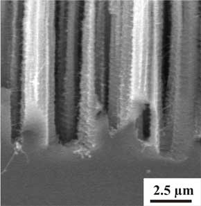 Nanowire nets bottom