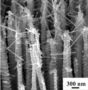 Nanowire nets top