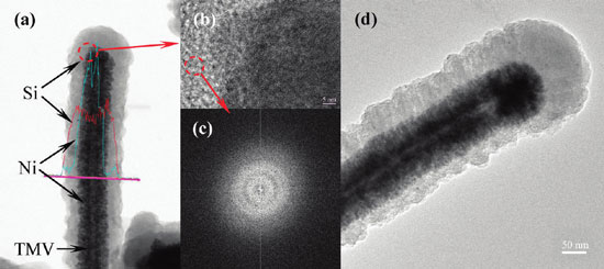 virus-templated silicon nanowire