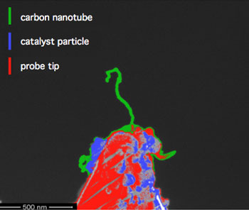 Individual CNT grown on the tip apex of an atomic force microscopy tip
