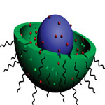 nanorattle