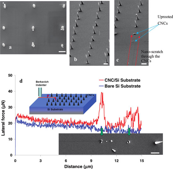 Nanoscratch on nanopatterned carbon nanocone structure