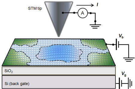 measurements scheme to study graphene