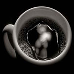 caustics_in_a_coffee_cup