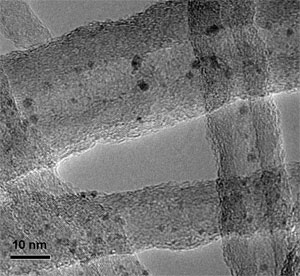 TEM image of the Rh-based catalyst particles encapsulated within carbon nanotube channels