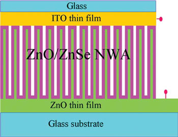 Sketch of a ZnO/ZnSe nanowire array prototype photovoltaic device