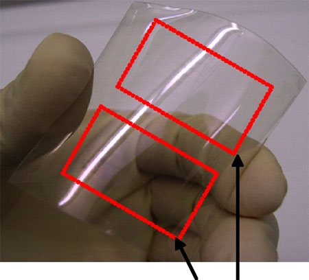 Fully transparent nanowire transistors