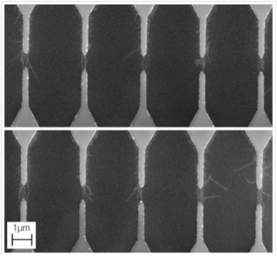 Scanning electron micrograph of 10 adjacent devices from a high-density device array, consisting of only semiconducting single-walled carbon nanotube devices