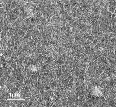 SEM image of graphene oxide nanoribbon mat