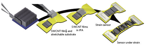 fabricating a single-walled carbon nanotube strain sensor