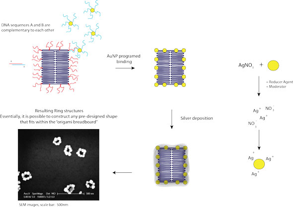 SEM images of different metallic nanostructures