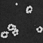 nanostructures_on_DNA