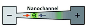 Separation of Proteins in a Nanochannel
