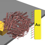 protein-based_memristor