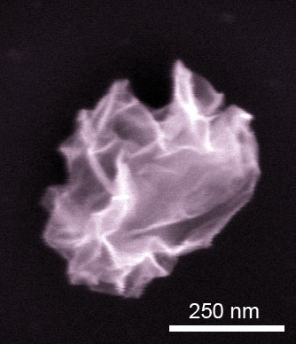 Scanning electron microscopy image of a crumpled graphene ball