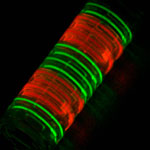 microfluidic_device