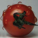 tomato