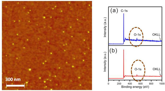 AFM image of graphene quantum dots dots