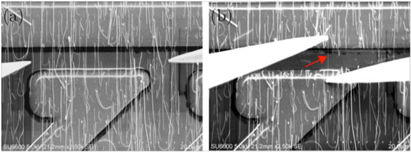 nanomanipulation removal of nanowires