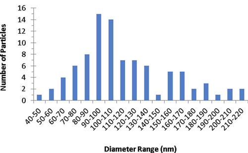 Distribution of primary particle size of food grade titanium dioxide