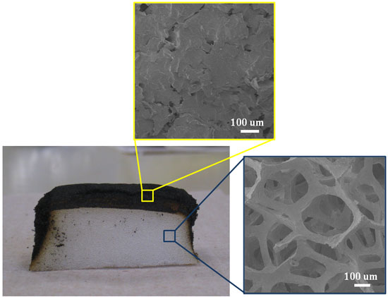 flexible, open-cell polyurethane foam  coated with 10 bilayers of clay and chitosan
